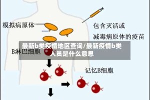最新b类疫情地区查询/最新疫情b类人员是什么意思