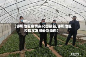 【邯郸地区疫情实况图最新,邯郸地区疫情实况图最新动态】