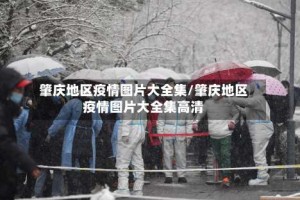 肇庆地区疫情图片大全集/肇庆地区疫情图片大全集高清
