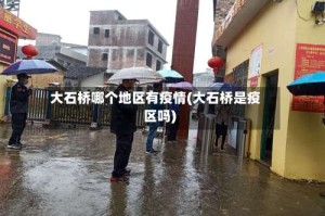 大石桥哪个地区有疫情(大石桥是疫区吗)