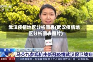 武汉疫情地区分析图表(武汉疫情地区分析图表图片)