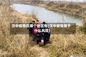 汉中疫情在哪个地区有(汉中疫情属于什么风险)