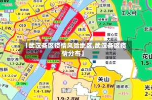 【武汉各区疫情风险地区,武汉各区疫情分布】