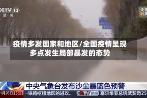 疫情多发国家和地区/全国疫情呈现多点发生局部暴发的态势