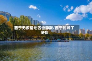 西宁无疫情地区也静默/西宁封城了没有