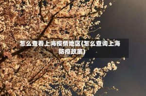 怎么查看上海疫情地区(怎么查询上海防疫政策)