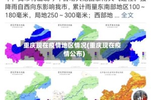 重庆现在疫情地区情况(重庆现在疫情公布)