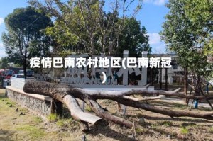 疫情巴南农村地区(巴南新冠)