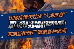 国内什么地区没有疫情了(国内什么地方没有疫情)
