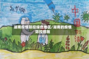 湖南疫情防控绿色地区/湖南的疫情防控措施