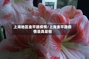 上海地区金平路疫情/上海金平路疫情是真是假