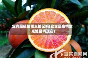 宜宾是疫情重点地区吗(宜宾是疫情重点地区吗现在)