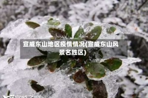 宣威东山地区疫情情况(宣威东山风景名胜区)