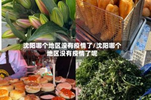 沈阳哪个地区没有疫情了/沈阳哪个地区没有疫情了呢