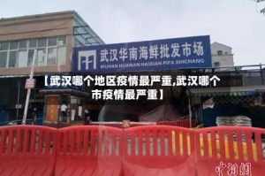 【武汉哪个地区疫情最严重,武汉哪个市疫情最严重】