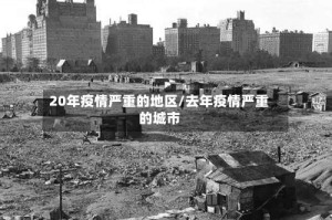 20年疫情严重的地区/去年疫情严重的城市