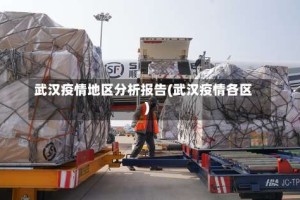 武汉疫情地区分析报告(武汉疫情各区)