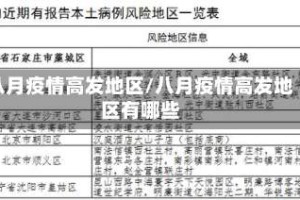 八月疫情高发地区/八月疫情高发地区有哪些