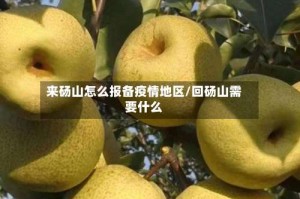 来砀山怎么报备疫情地区/回砀山需要什么