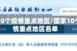 国家10个疫情重点地区/国家10个疫情重点地区名单