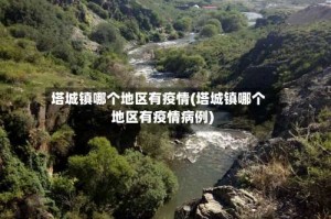 塔城镇哪个地区有疫情(塔城镇哪个地区有疫情病例)