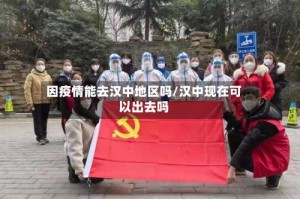因疫情能去汉中地区吗/汉中现在可以出去吗