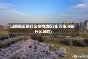 山西临汾是什么疫情地区(山西临汾是什么风险)