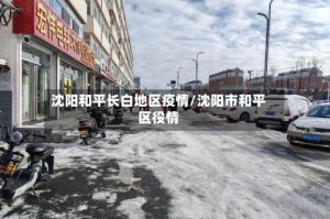 沈阳和平长白地区疫情/沈阳市和平区役情
