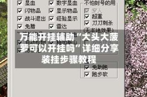 万能开挂辅助“大头大菠萝可以开挂吗”详细分享装挂步骤教程