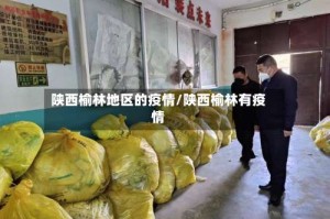 陕西榆林地区的疫情/陕西榆林有疫情