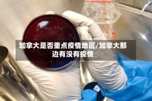 加拿大是否重点疫情地区/加拿大那边有没有疫情