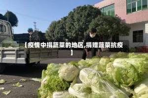 【疫情中捐蔬菜的地区,捐赠蔬菜抗疫】