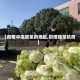 【疫情中捐蔬菜的地区,捐赠蔬菜抗疫】