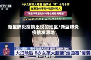 新型肺炎疫情出现的地区/新型肺炎疫情发源地