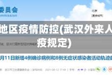 武汉外地区疫情防控(武汉外来人员防疫规定)