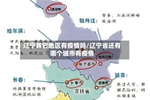 辽宁其它地区有疫情吗/辽宁省还有哪个城市有疫情