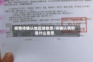 疫情待确认地区啥意思/待确认病例是什么意思