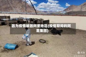 因为疫情被困阿里地区(疫情期间的阿里集团)
