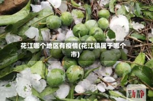 花江哪个地区有疫情(花江镇属于哪个市)