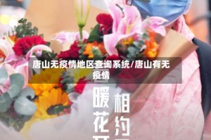 唐山无疫情地区查询系统/唐山有无疫情
