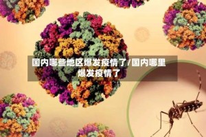 国内哪些地区爆发疫情了/国内哪里爆发疫情了