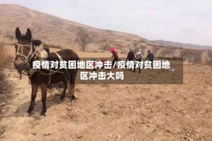 疫情对贫困地区冲击/疫情对贫困地区冲击大吗