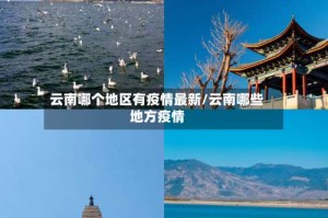 云南哪个地区有疫情最新/云南哪些地方疫情