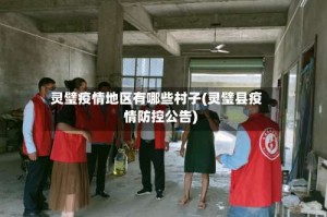 灵璧疫情地区有哪些村子(灵璧县疫情防控公告)