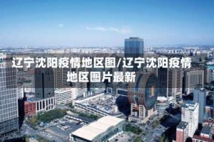 辽宁沈阳疫情地区图/辽宁沈阳疫情地区图片最新