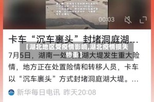 【湖北地区受疫情影响,湖北疫情损失惨重】