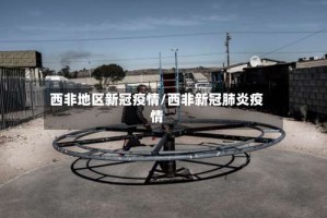 西非地区新冠疫情/西非新冠肺炎疫情