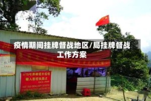 疫情期间挂牌督战地区/局挂牌督战工作方案