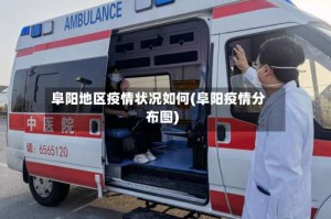阜阳地区疫情状况如何(阜阳疫情分布图)