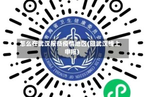 怎么在武汉报备疫情地区(回武汉线上申报)